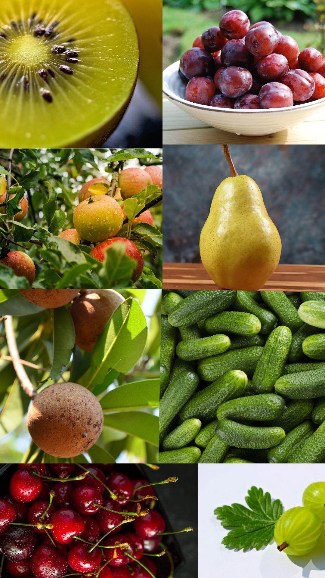 தோலை உரிக்காமல் இந்தப் பழங்களை சாப்பிட்டால் நல்லதா..?