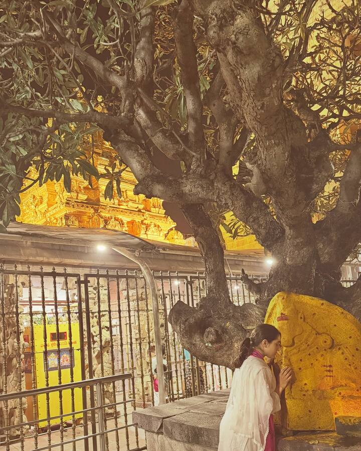 वर्क फ्रंटबद्दल बोलायचे झाले तर सारा शेवटची 'मर्डर मुबारक' चित्रपटात दिसली होती. यात करिश्मा कपूरशिवाय विजय वर्माही त्याच्यासोबत होता. हा चित्रपट OTT वर प्रदर्शित झाला होता.