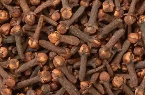 Benefits Of Eating 2 Colves: ભારતીય રસોડામાં હાજર મસાલાઓમાં લવિંગ એક એવો મસાલો છે જે સ્વાસ્થ્ય માટે ઘણી રીતે ફાયદાકારક માનવામાં આવે છે. આયુર્વેદમાં લવિંગનો ઉપયોગ ઔષધિ તરીકે થાય છે. લવિંગમાં મળતું યુજેનોલ તણાવ અને પેટના રોગોથી બચાવવામાં મદદરૂપ માનવામાં આવે છે.