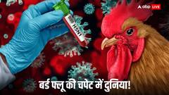 अमेरिका में वायरस से मौत की पहली अनाउंसमेंट, जानिए चीन, हांग कांग  समेत दुनिया में क्या हाल
