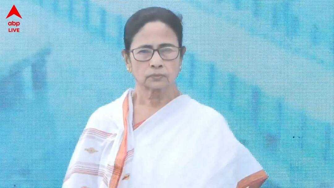 mamata banerjee claims that few private rackets circulating panic amid hmpv scare Mamata Banerjee : 'কিছু প্রাইভেট চক্র...', HMP ভাইরাস-আতঙ্কের মধ্যেই বিস্ফোরক দাবি মমতার