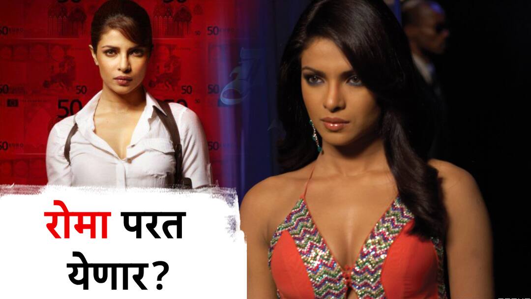 प्रियांका चोप्रा 'डॉन-3' मध्ये पुन्हा दिसणार? डॉनला पकडायला 'जंगली बिल्ली' कमबॅक करणार का? नव्या चर्चेला उधाण! priyanka chopra may be seen in don 3 pictures of farhan akhtar shah rukh khan ranveer singh kiara advani प्रियांका चोप्रा 'डॉन-3' मध्ये पुन्हा दिसणार? डॉनला पकडायला 'जंगली बिल्ली' कमबॅक करणार का? नव्या चर्चेला उधाण!