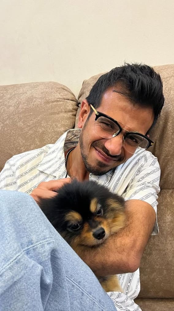 চাহাল-ধনশ্রীর বিবাহবিচ্ছেদের জল্পনা তুঙ্গে, যুজবেন্দ্রদের ঘর ভাঙার প্রকৃত কারণটা ঠিক কী?