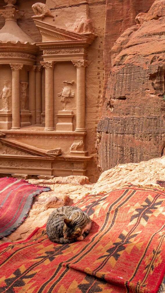 सऊदी, यूएई... 2050 तक रहने लायक नहीं रहेंगे?