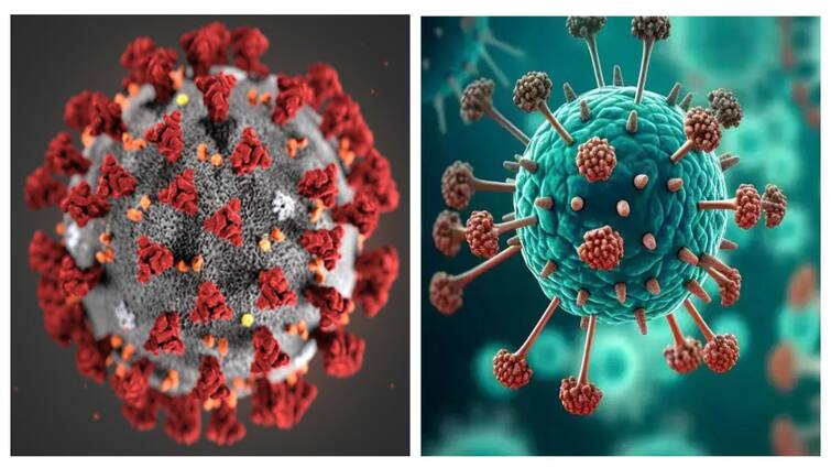 HMPV Virus Covid-19 similiar how to prevention know full details here HMPV vs Covid-19: எச்.எம்.பி.வி. வைரசுக்கும், கொரோனா வைரசுக்கும் இத்தனை ஒற்றுமையா? இதைப் படிங்க!