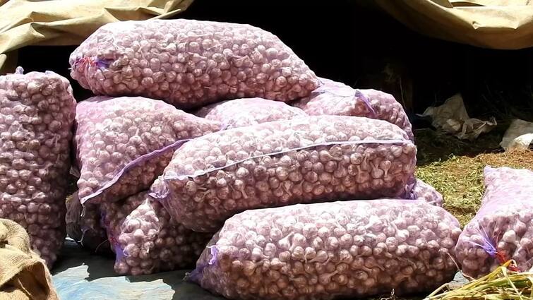 Thanjavur people of are eagerly buying mountain garlic tnn விலை அதிகமாக இருந்தா என்ன? ஆர்வத்துடன் தஞ்சை மக்கள் வாங்குவது எதை தெரியுங்களா?