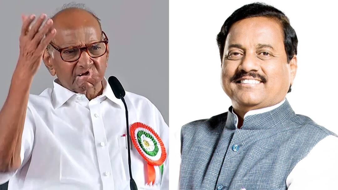 sunil tatkare clarification on ncp sharad pawar 7 mp contact to join ajit pawar maharashtra ploticss marathi news  Sunil Tatkare : शरद पवारांचे 7 खासदार फोडताय का? सुनील तटकरे म्हणाले, दिल्लीत खासदारांची भेट पण...