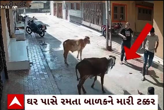 Surat news: સુરતના કીમમાં રખડતા ઢોરનો ત્રાસ, ઘર પાસે રમતા બાળકને મારી ટક્કર