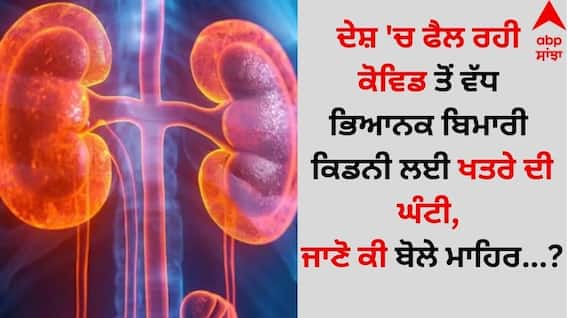 New Virus Spread: ਦੇਸ਼ 'ਚ ਫੈਲ ਰਹੀ ਕੋਵਿਡ ਤੋਂ ਵੱਧ ਭਿਆਨਕ ਬਿਮਾਰੀ ਕਿਡਨੀ ਲਈ ਖਤਰੇ ਦੀ ਘੰਟੀ, ਜਾਣੋ ਕੀ ਬੋਲੇ ਮਾਹਿਰ