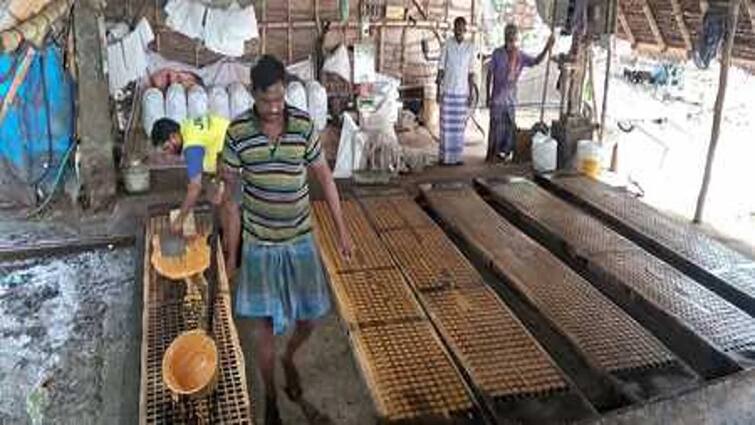 Jaggery production is very busy in Thanjavur district tnn அச்சு வெல்லமே... அச்சு வெல்லமே: தயாரிப்பு பணிகள் வெகு மும்முரம்