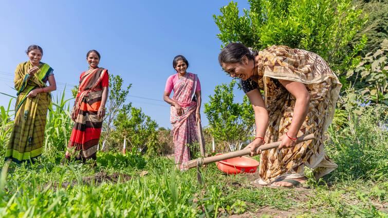 Union Budget 2025 Expectations: Agriculture Sector Look For More Monetary Support, Infra Push