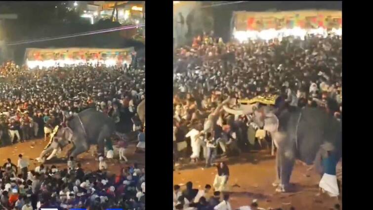 Kerala Elephant Turned Violent Malappuram People Injured Watch Video Watch Video: அச்சச்சோ..! திருவிழாவில் மதம் பிடித்த யானை.. பக்தர்களை காலை பிடித்து தூக்கி வீசும் வீடியோ