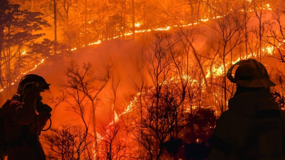 Two Wildfires Rage Through Los Angeles, Burn Homes: VIDEOS