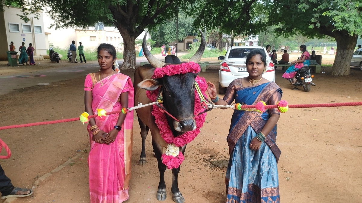 வானவில்லுக்கே சவாலாய் வண்ணத்துப்பூச்சிகளாய் உற்சாக உலா வந்த தஞ்சை கல்லூரி மாணவிகள்: எதற்காக?