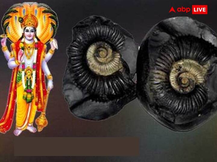 श्री हरि और देवी लक्ष्मी के सामने दीया जलाएं और पीले फूलों की माला अर्पित करें. 'ॐ नमो भगवते वासुदेवाय' मंत्र का 108 बार जाप करें और आरती करें.