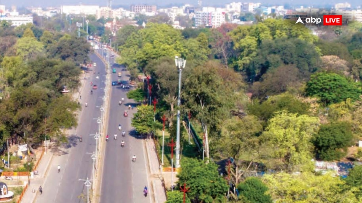 This Japanese Technique Turned Prayagraj '56,000 Sq M' Greener Ahead Of Mahakumbh