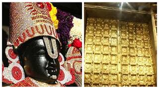 vaikunda ekadasi 2025 sorgavasal thirappu devotees crowd temple know full details Vaikunta Ekadasi 2025: பக்தர்களே! நாளை அதிகாலை சொர்க்கவாசல் திறப்பு! கோயிலுக்கு கிளம்புங்க
