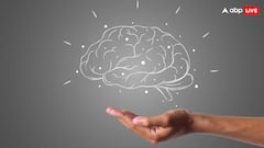 इंसानों के दिमाग में कौन से हिस्से में होता है इलेक्ट्रिक करंट, नहीं जानते होंगे आप