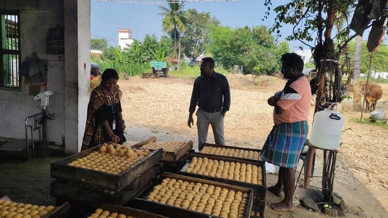 Salem news Adulteration in Jaggery Food Safety Department notices 22 factories tnn வெல்லத்தில் கலப்படம்... 22 ஆலைகளுக்கு உணவு பாதுகாப்புத்துறை நோட்டீஸ்
