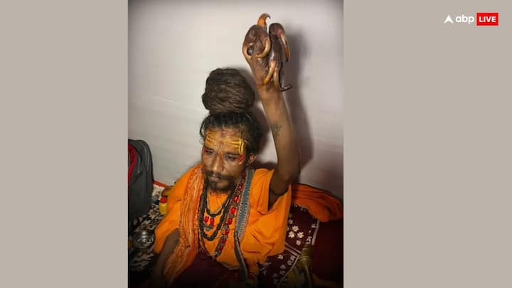 महाकाल गिरी बाबा - ये राजस्थान के जोधपुर के रहने वाले हैं. महाकुंभ में आने वाले महाकाल गिरी बाबा 9 साल से अपना एक हाथ ऊपर उठाए हुए हैं, इस हाथ में उनके नाखून उनके उंगलियों से भी बड़े हो गए हैं.