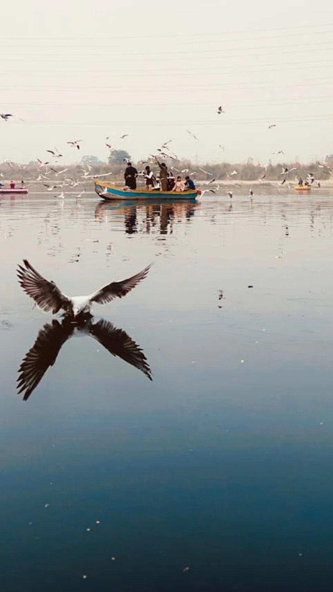 इसमें भारत समेत दुनिया के प्रमुख देशों के पॉपुलेशन में चेंज्स को दिखाया गया है
