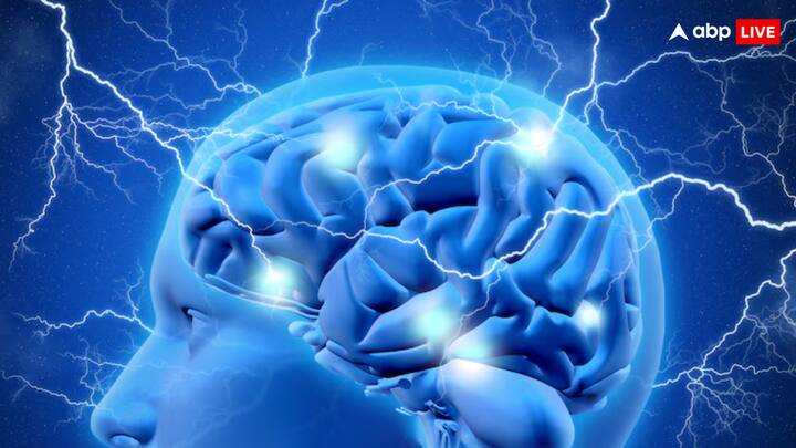 लेकिन क्या आप जानते हैं कि आपके दिमाग में बिजली की ऊर्जा है. जी हां, हर इंसान दिमाग में बिजली होती है, आज हम आपको बताएंगे कि दिमाग के किस हिस्से में बिजली होती है.