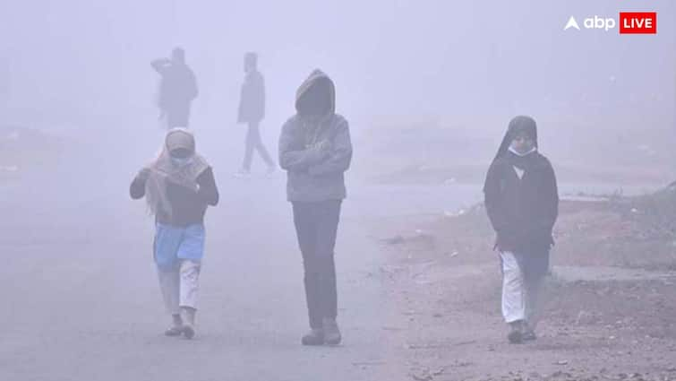 Cold Wave Tightens Grip Over North India, Winter Chill Likely To Worsen In Delhi, UP