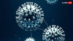 HMPV Virus Protection: HMPV के लिए वैक्सीन तो है नहीं फिर संक्रमण कैसे ठीक होगा, जानें क्या कह रहे डॉक्टर