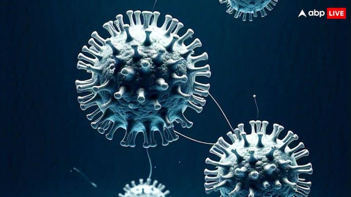 HMPV Virus: भारत में HMPV वायरस के फैलने से चिंता बढ़ रही है, लेकिन डॉक्टरों के मुताबिक यह कोरोना जैसे गंभीर हालात पैदा नहीं कर सकता. हालांकि बच्चों और बुजुर्गों के लिए ये खतरनाक हो सकता है.