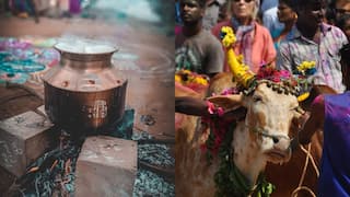 Thai Pongal 2025: தைப்பொங்கல் ஏன் கொண்டாடப்படுகிறது? வரலாற்று கதைகள் என்ன?