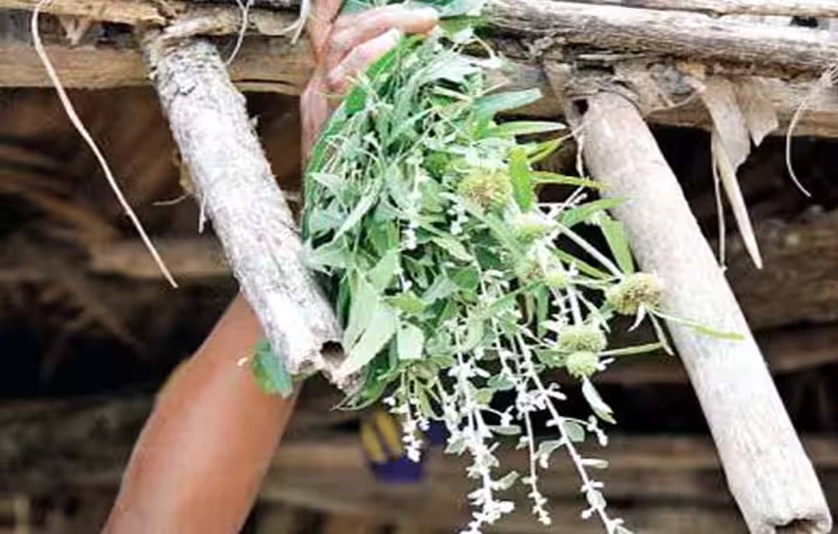 Pongal Kappu Kattu: தை பொங்கலுக்கு முதல் நாள், காப்பு கட்டும் நல்ல நேரம், சிறப்புகள் என்னென்ன? முழு விபரம் இதோ