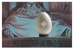 क्या सच में एक अंडा दस साल तक आपके घर को दे सकता है बिजली? जानिए क्या है सच्चाई