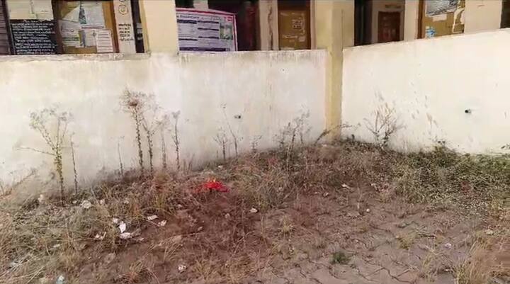 कार्यालयांच्या बाहेर गवत उगवले असून, इमारतीच्या भिंतींवर झाडेही उगवलेली दिसत आहेत.