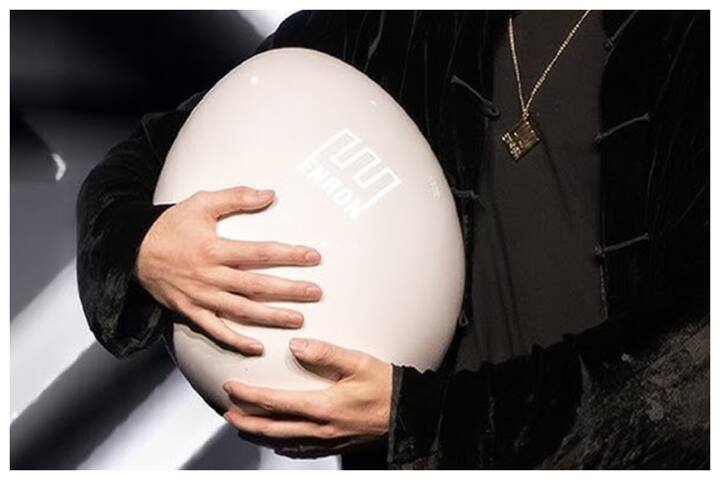 इस न्यूक्लियर रिएक्टर को Enron Egg कहते है इसके हुड के नीचे एक चिप लगी होती है.