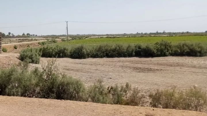 यमुना प्राधिकरण की ओर से आवासीय प्लॉट योजना में 451 प्लॉट के लिए 1,11,703 आवेदनों ने फॉर्म दिए थे. इसके लिए 27 दिसंबर को ग्रेटर नोएडा के इंडिया एक्सपो मार्ट में ड्रा का आयोजन किया गया था. सिर्फ 451 लोगों को ही प्लॉट मिल सके हैं. अब बाकी के लोगों के पैसे वापस किए जा रहे हैं.