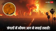 लॉस एंजिलिस में बेकाबू हुई जंगल की आग, तेज हवाओं से एक हजार घर तबाह, गवर्नर ने लगाया आपातकाल