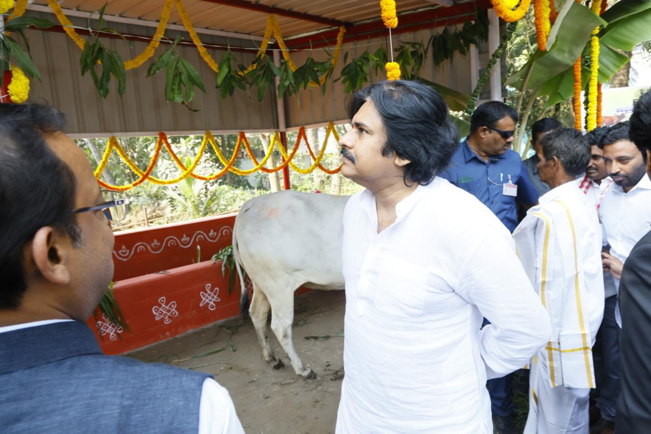 Pawan Kalyan Tour In Pithapuram: క్షమాపణలు చెప్పడానికి నామోషీ ఎందుకు? టీటీడీని ప్రశ్నించిన పవన్ కల్యాణ్‌