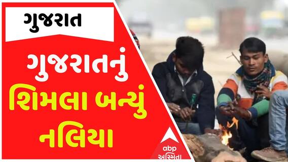Gujarat Weather News: ગુજરાતનું શિમલા બન્યું નલિયા, જાણો કેટલું નોંધાયું તાપમાન?