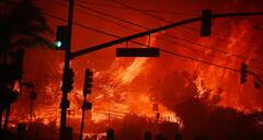 Los Angeles Wildfire: લોસ એન્જલસમાં આગથી તબાહી, આ હોલિવૂડ સ્ટાર્સના ઘરો થયા ખાખ