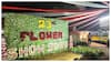 Yanam Flowers Show 2025: పుష్ప-2లో ఎడ్ల బండి సీన్ను పూలతో తీర్చిదిద్దారు! ఎక్కడంటే?