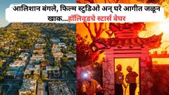 California Wild Fire: आलिशान बंगले, फिल्म स्टुडिओ अन् घरे आगीत जळून खाक...हॉलिवूडचे स्टार्स बेघर, पाहा मन हेलावणारे फोटो