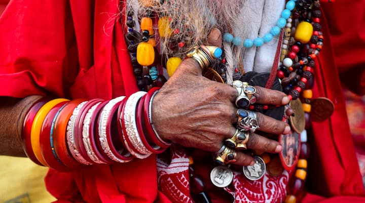 শেষেমেষ ঘোড়াটিকে ঋষির আশ্রমের কাছে চরতে দেখা যায়। তখন রাজপুত্ররা মুনিকে অপমান করেন। রোষে ঋষি ভস্ম করে দেন সাগর পুত্রদের।