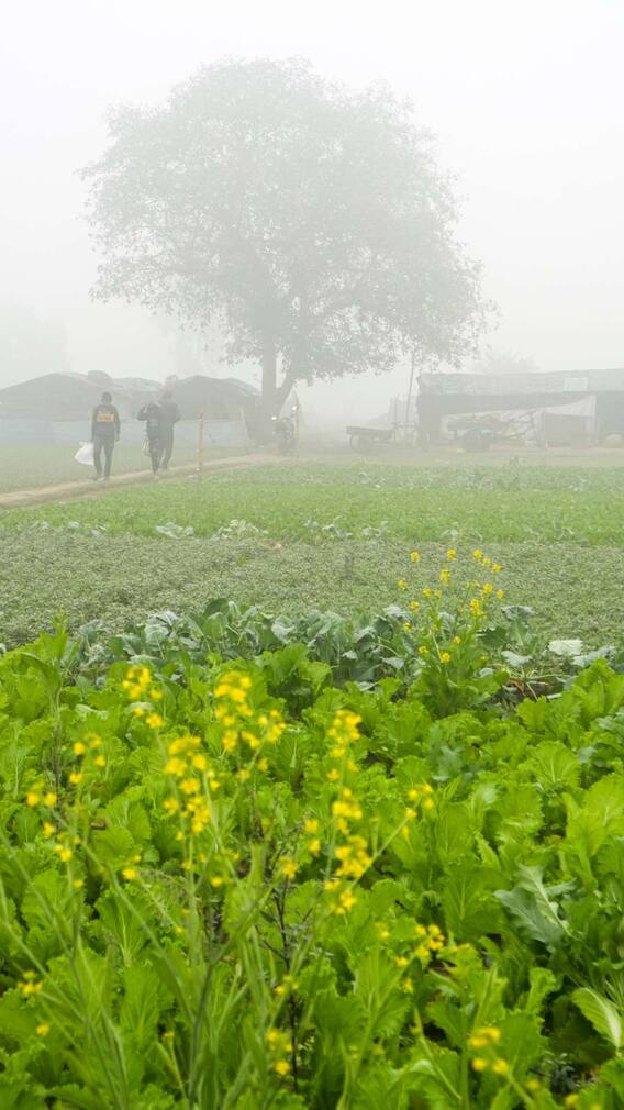 दिल्ली में मौसम को लेकर चेतावनी जारी, किस दिन होगी बारिश?