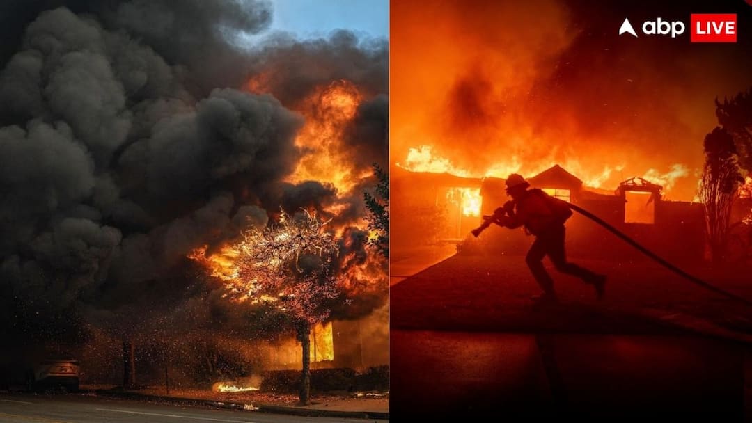 जंगलों में क्यों लगती है आग, दुनिया में कहां हुआ था सबसे खतरनाक अग्निकांड Los Angeles Wildfires Why do forests catch fire and Know about most dangerous fire incident in World जंगलों में क्यों लगती है आग, दुनिया में कहां हुआ था सबसे खतरनाक अग्निकांड