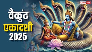 Vaikundh Ekadashi 2025: क्या सच में स्वर्ग के द्वार खोलती है वैकुंठ एकादशी, जानें व्रत का महात्म्य
