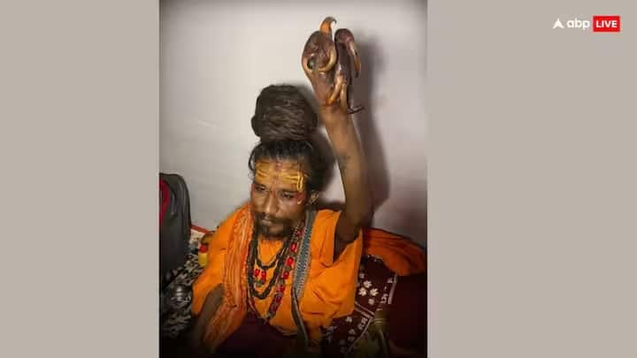 મહાકાલ ગિરિ બાબા - તેઓ રાજસ્થાનના જોધપુરના રહેવાસી છે. મહાકુંભમાં આવતા મહાકાલ ગિરિ બાબા 9 વર્ષથી પોતાનો એક હાથ ઉંચો રાખીને સાધના કરી રહ્યા છે, આ હાથના નખ તેમની આંગળીઓ કરતાં લાંબા થઈ ગયા છે.