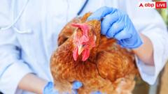 Bird Flu Death: H5N1 वायरस के बारे में आपको ये बातें जरूर जाननी चाहिए