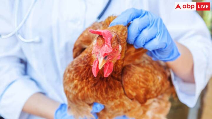 H5N1 की पहली बार 1996 में दक्षिणी चीन में पहचान की गई थी और इसने पिछले कुछ सालों में दुनिया भर में जंगली और पाले गए पक्षियों में छिटपुट प्रकोप पैदा किए हैं. CNN की एक रिपोर्ट के अनुसार, वैज्ञानिकों ने कहा कि महामारी शुरू करने के लिए वायरस को अपने आनुवंशिक अनुक्रम में महत्वपूर्ण बदलावों को विकसित करने या बनाए रखने की आवश्यकता होगी.