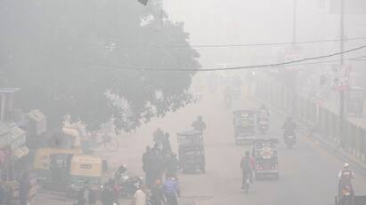 Delhiites Shiver As Cold Waves Grip Delhi, IMD Warns Of More Chilly Days Ahead Delhiites Shiver As Cold Waves Grip National Capital, IMD Warns Of More Chilly Days Ahead