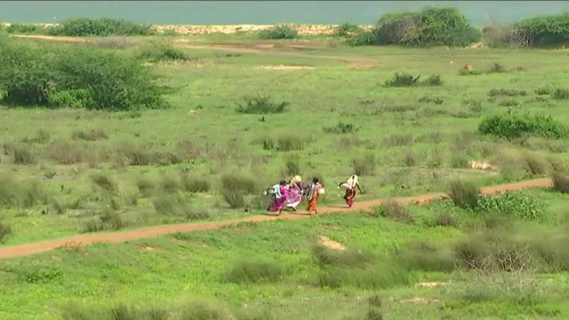 శ్రీకాకుళం జిల్లాలోని మెళియాపుట్టి మండలంలో తాగునీటి కష్టాలు- జనవరి నుంచే పల్లెల్లో దాహం కేకలు